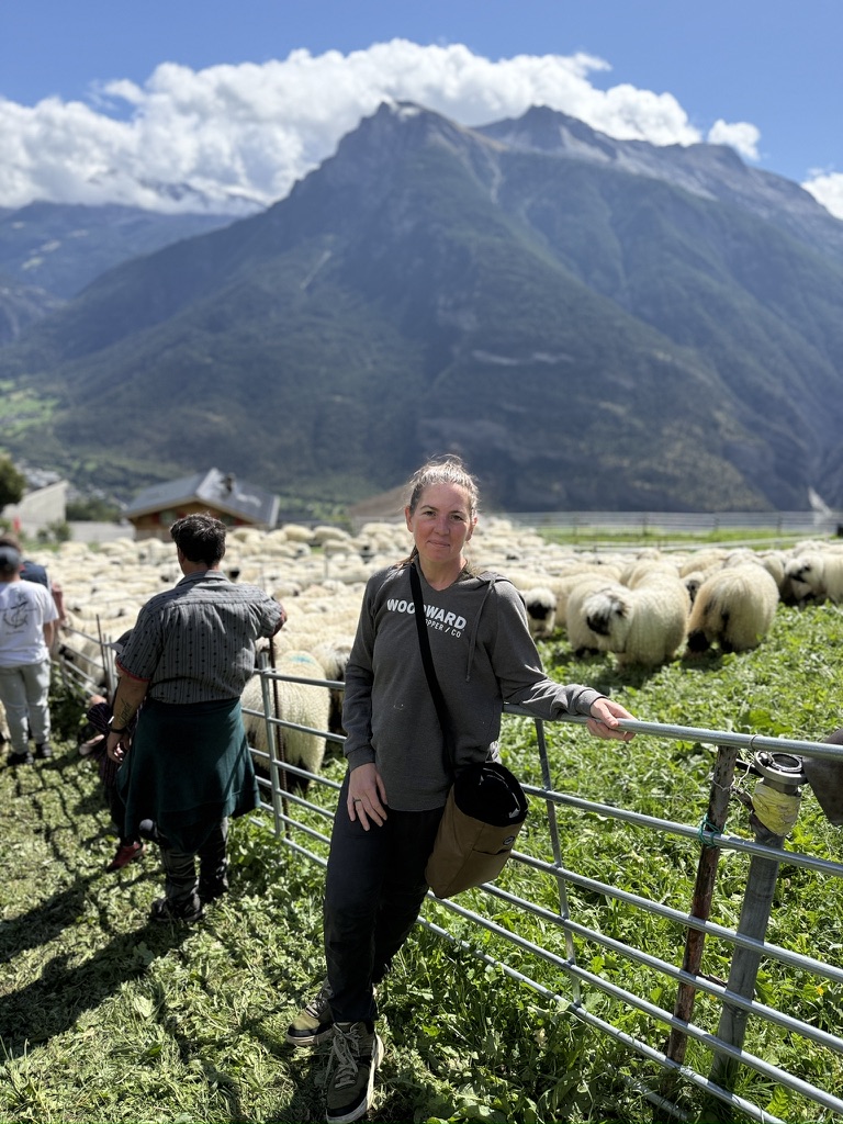Jeri standing at a pasture fence with a flock of Valais Blacknose and the Swiss Alps rising behind her