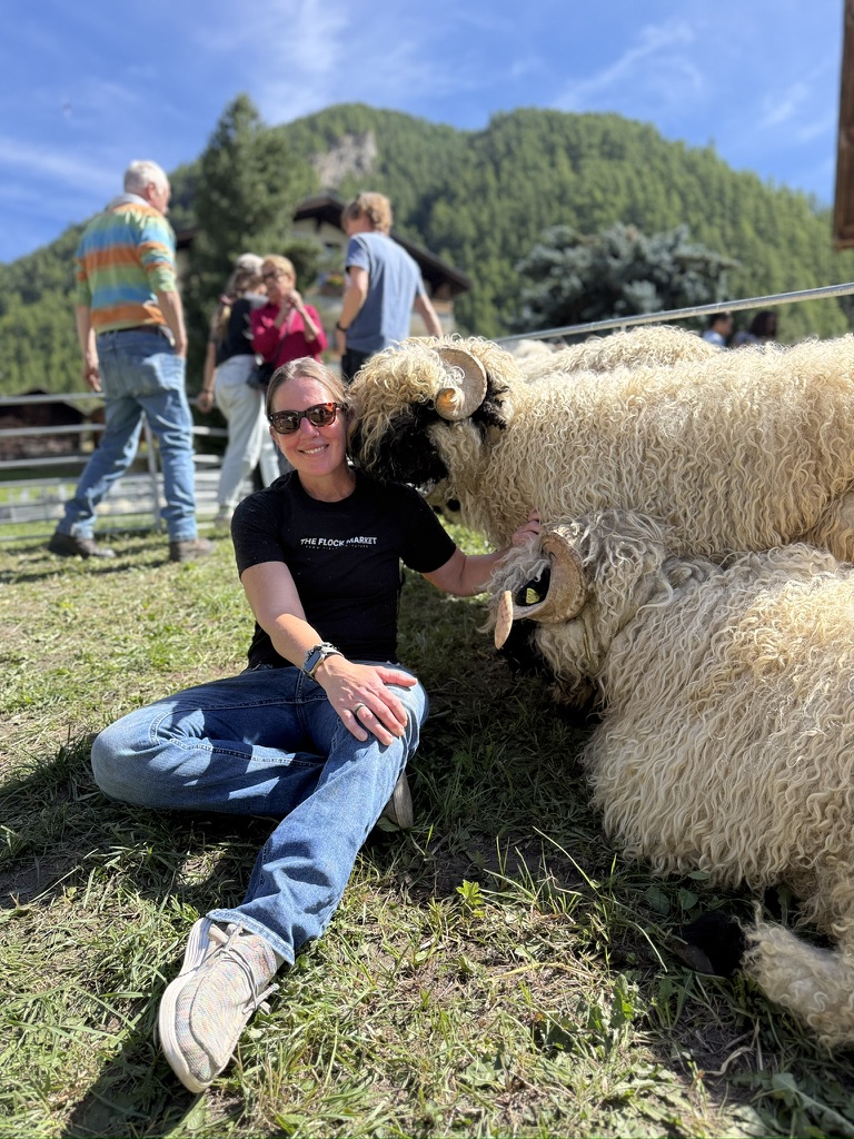 Jeri sitting in the grass beside two horned Valais Blacknose rams in Switzerland