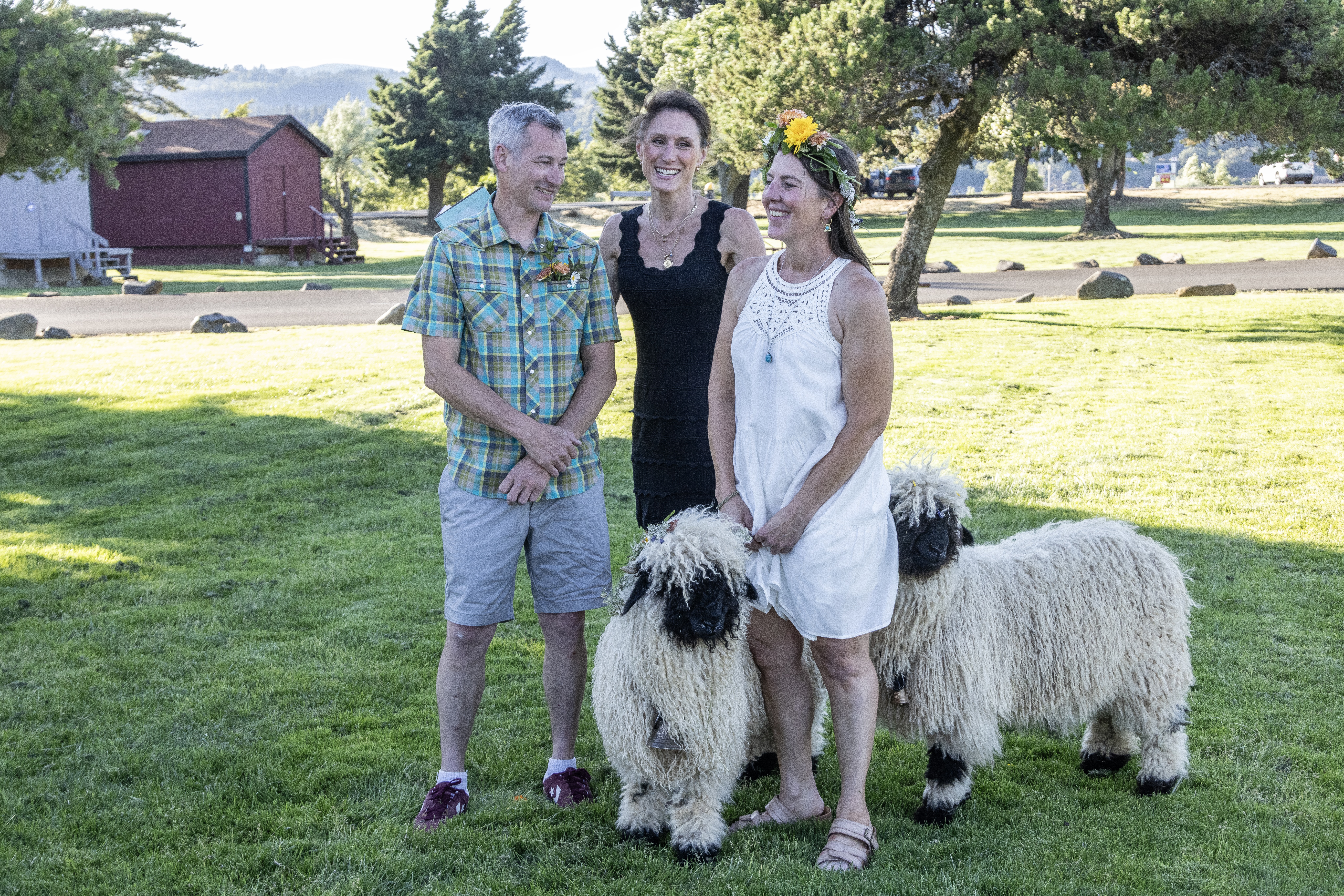 The Cloud Cap Valais family with two of their Valais Blacknose sheep on the farm lawn in Oregon's Hood River Valley
