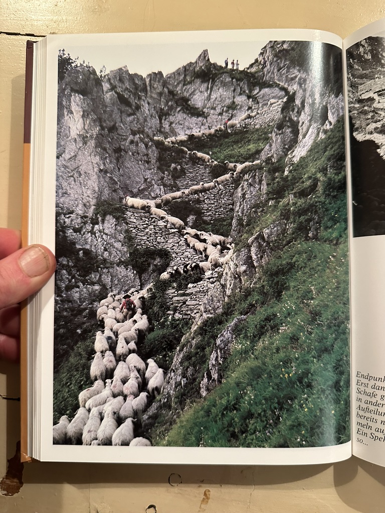 Coming down the mountain — a flock descends the rocky alpine paths of the Valais.