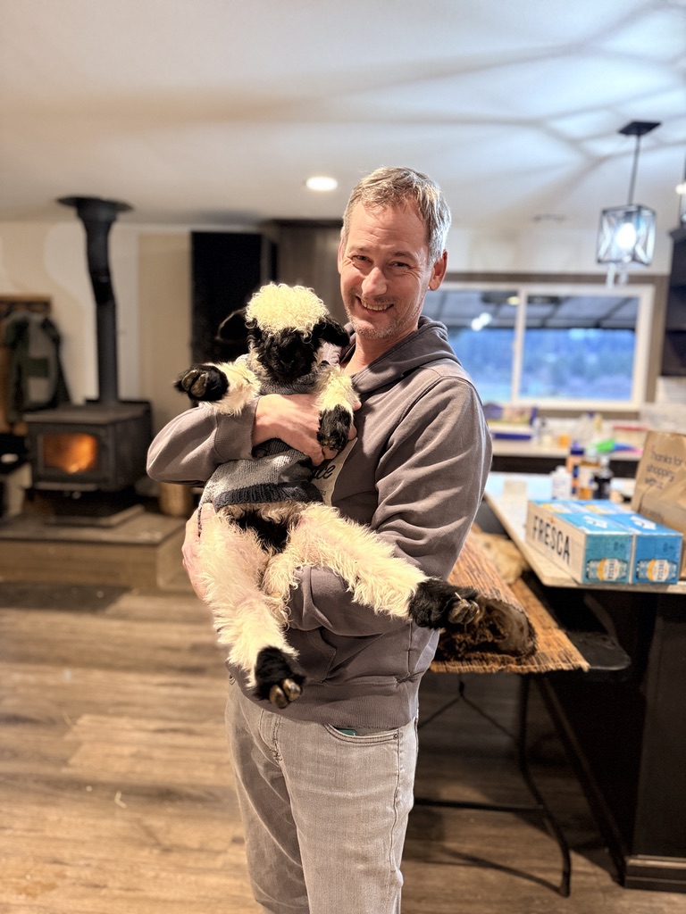 Ed smiling as he cradles a sweater-clad Valais Blacknose lamb by the wood stove at Cloud Cap Valais