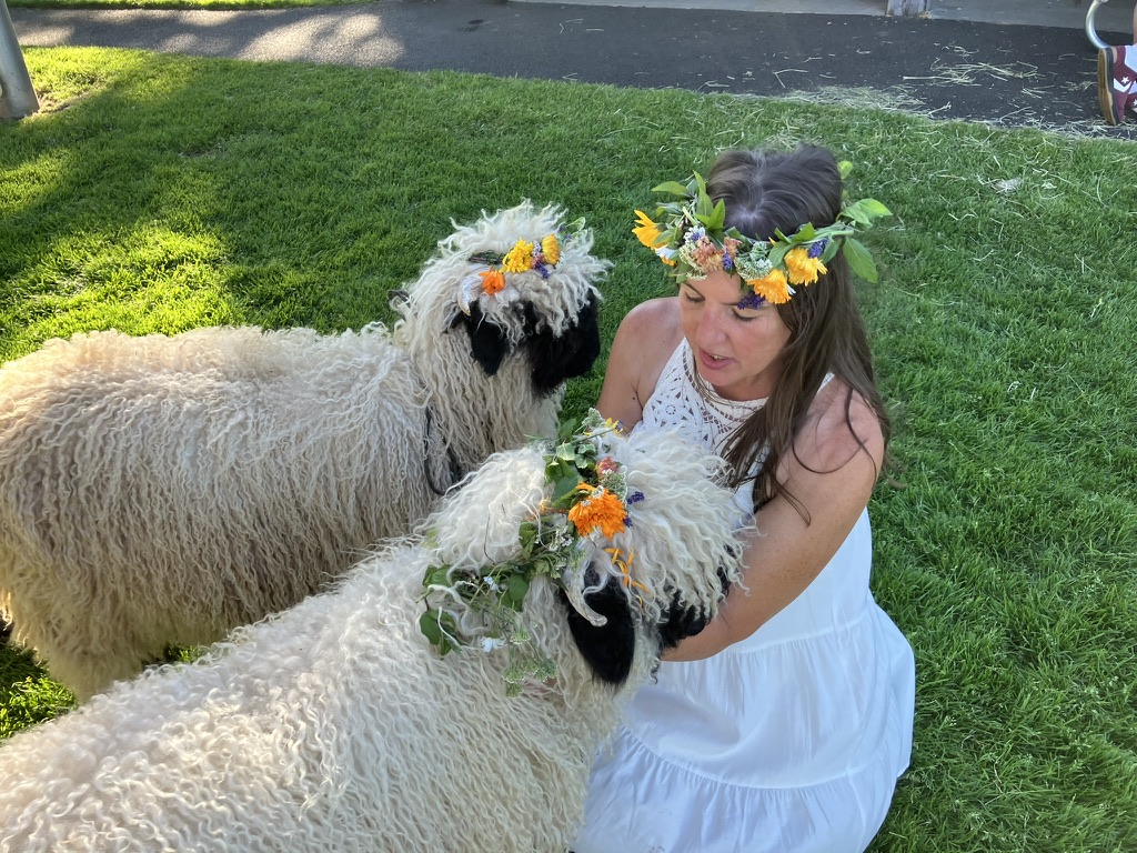 Jeri in a flower crown leaning in close to two flower-crowned Valais Blacknose sheep